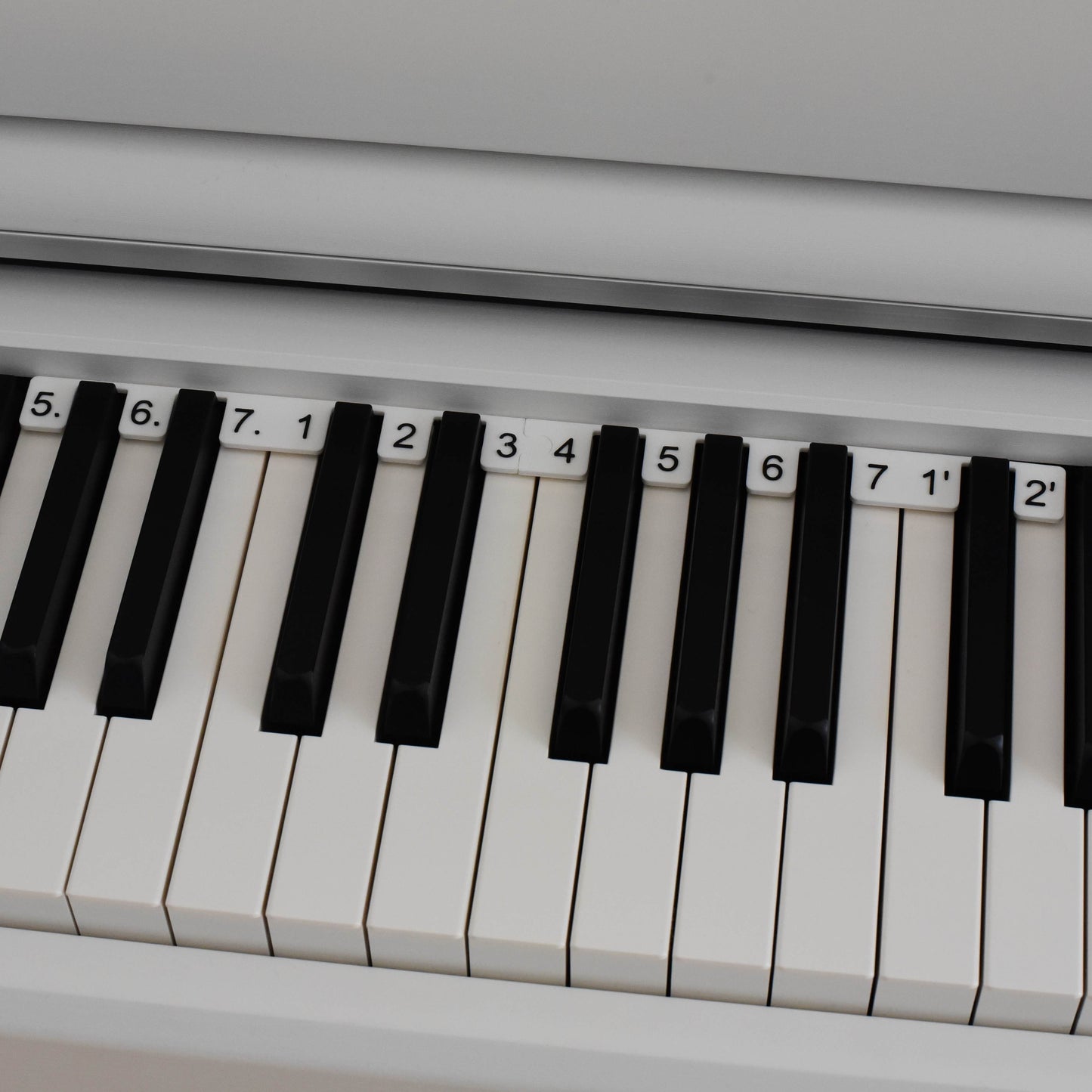 Geschenk-Bundle für Maker und Bastler Dosengitarre