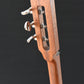 3-saitige Cigar Box Guitar „Cherry Red“ | #23